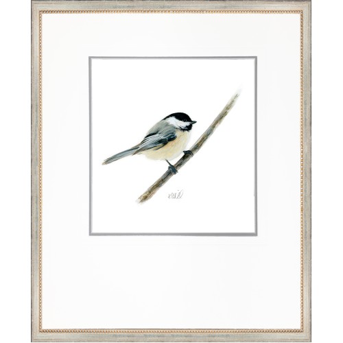 KS- CHICKADEE